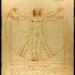 Il nudo cinquecentesco, tra realtà ed erotismo Leonardo da Vinci, L'Uomo Vitruviano